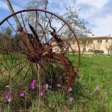 Agriturismo La Torricella Pistoia Eksteriør bilde