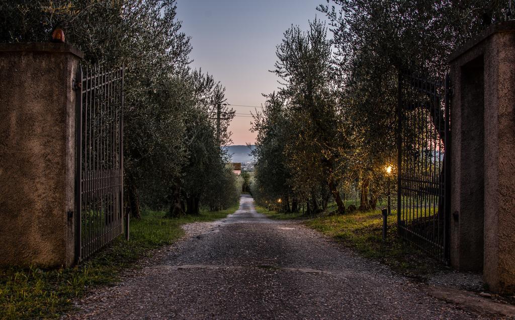 Agriturismo La Torricella Pistoia Eksteriør bilde