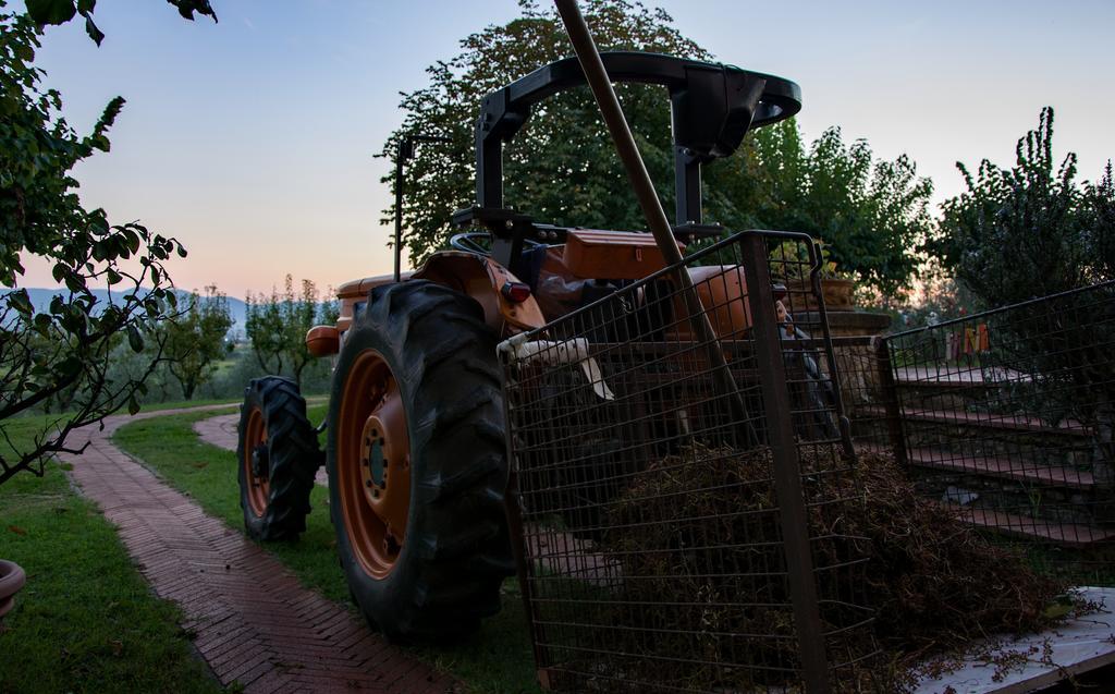 Agriturismo La Torricella Pistoia Eksteriør bilde